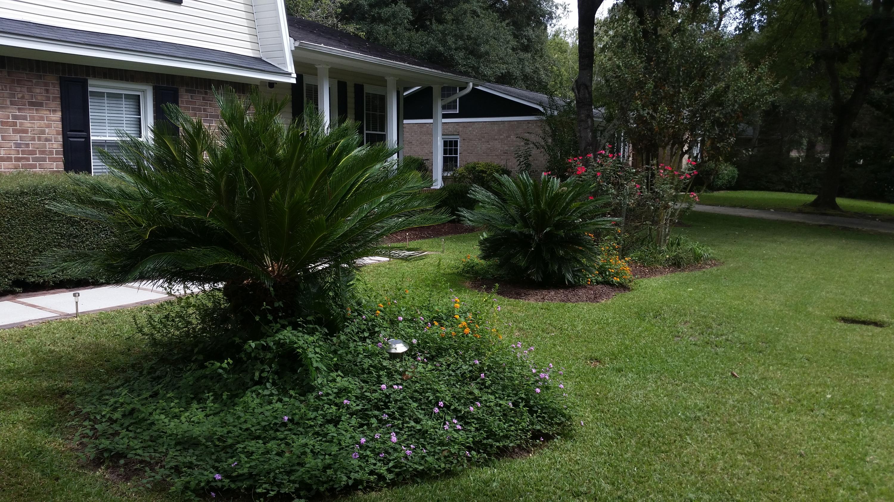 211 Jimbo Road Summerville, SC 29485 - Photo 3 of 24 LANDSCAPING