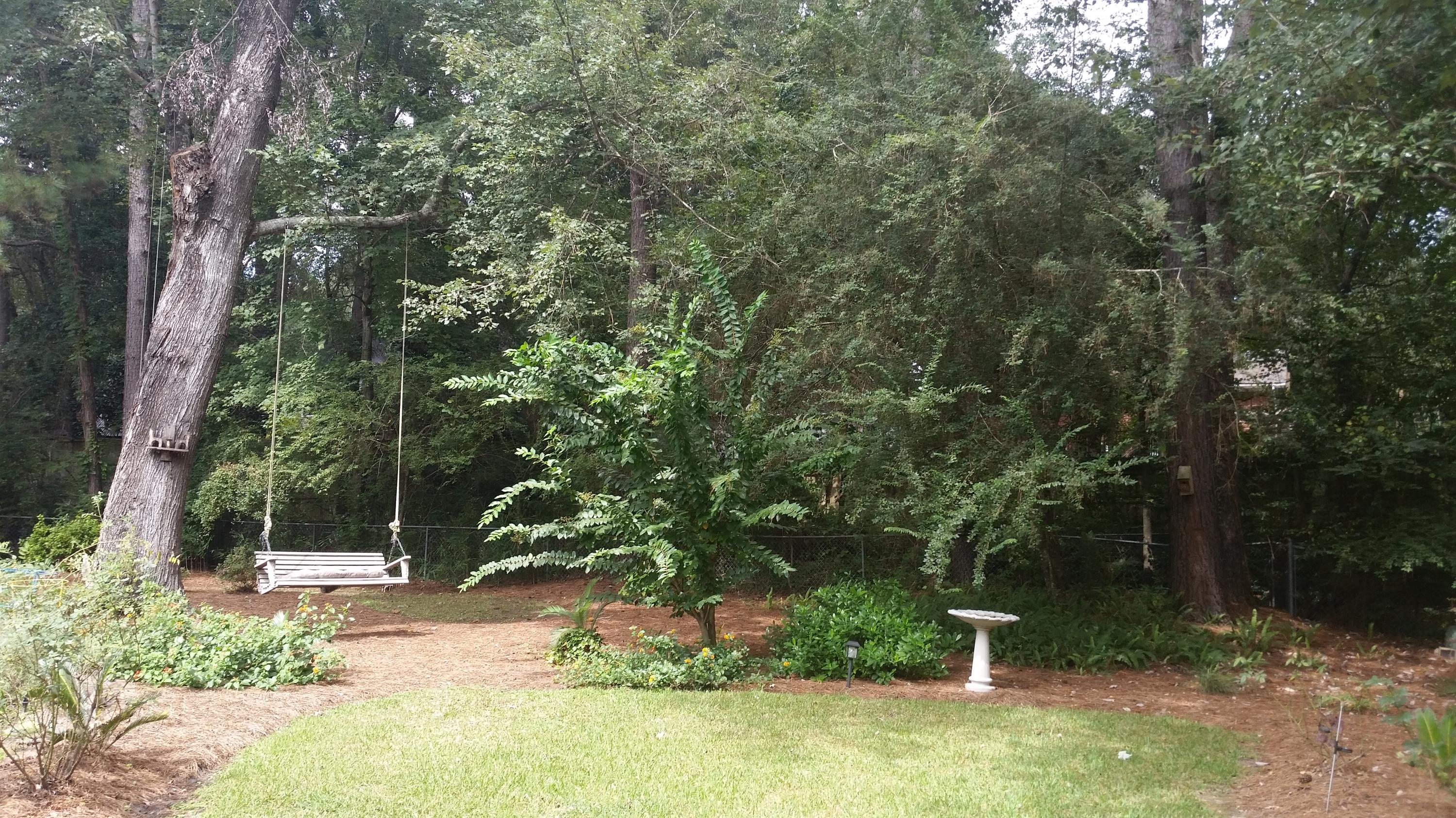 211 Jimbo Road Summerville, SC 29485 - Photo 21 of 24 BACK YARD VIEW