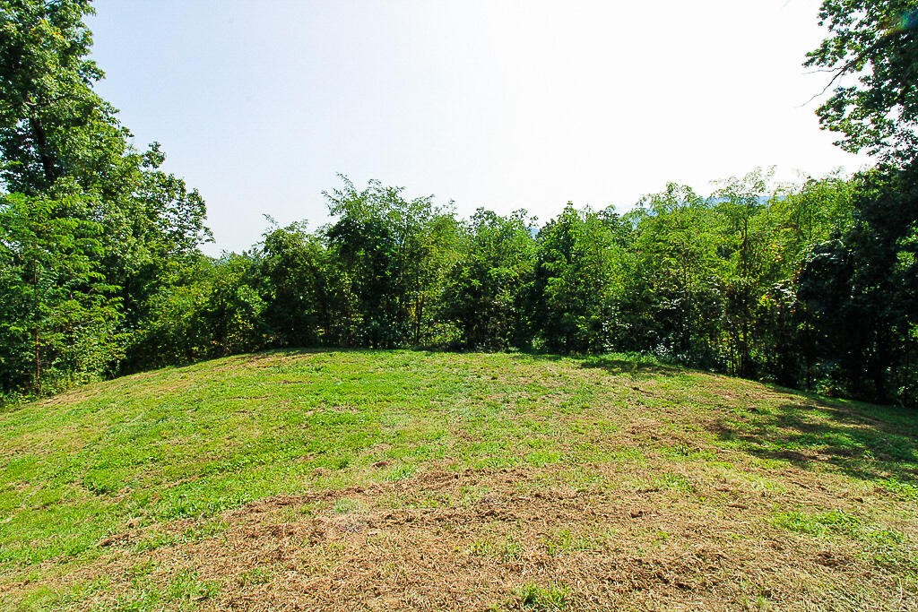 1468 Laurel Road Gatlinburg, TN 37738 - Photo 15 of 40 Gallery Image 15
