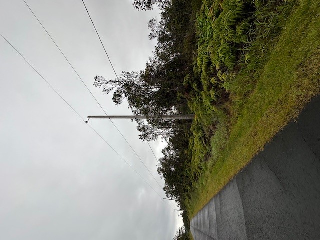 1631 Pa Alii Street Volcano, HI 96785 - Photo 11 of 14 a view of a field with an tree