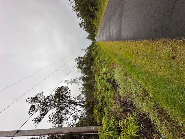 1631 Pa Alii Street Volcano, HI 96785 - Photo 12 of 14 a view of a field with an ocean