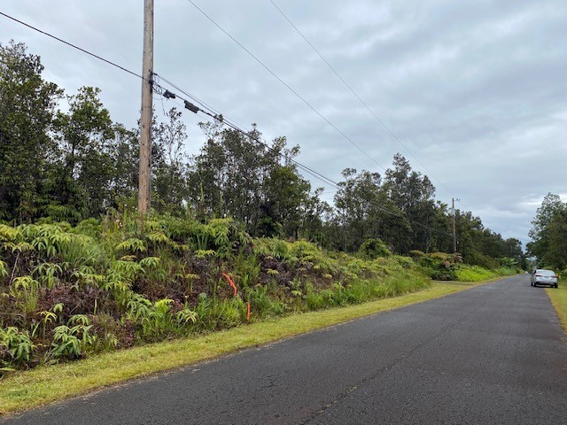 1631 Pa Alii Street Volcano, HI 96785 - Photo 14 of 14 a view of a yard with a street view