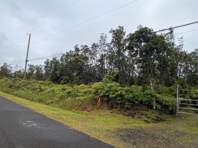 1631 Pa Alii Street Volcano, HI 96785 - Photo 5 of 14 a view of outdoor space and yard