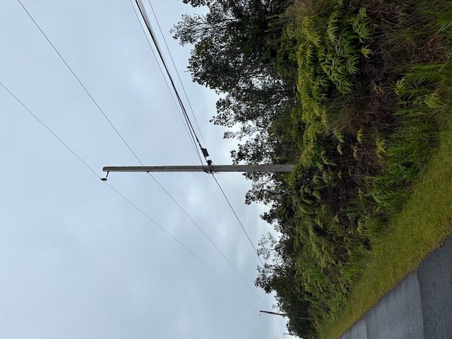1631 Pa Alii Street Volcano, HI 96785 - Photo 9 of 14 a view of a street