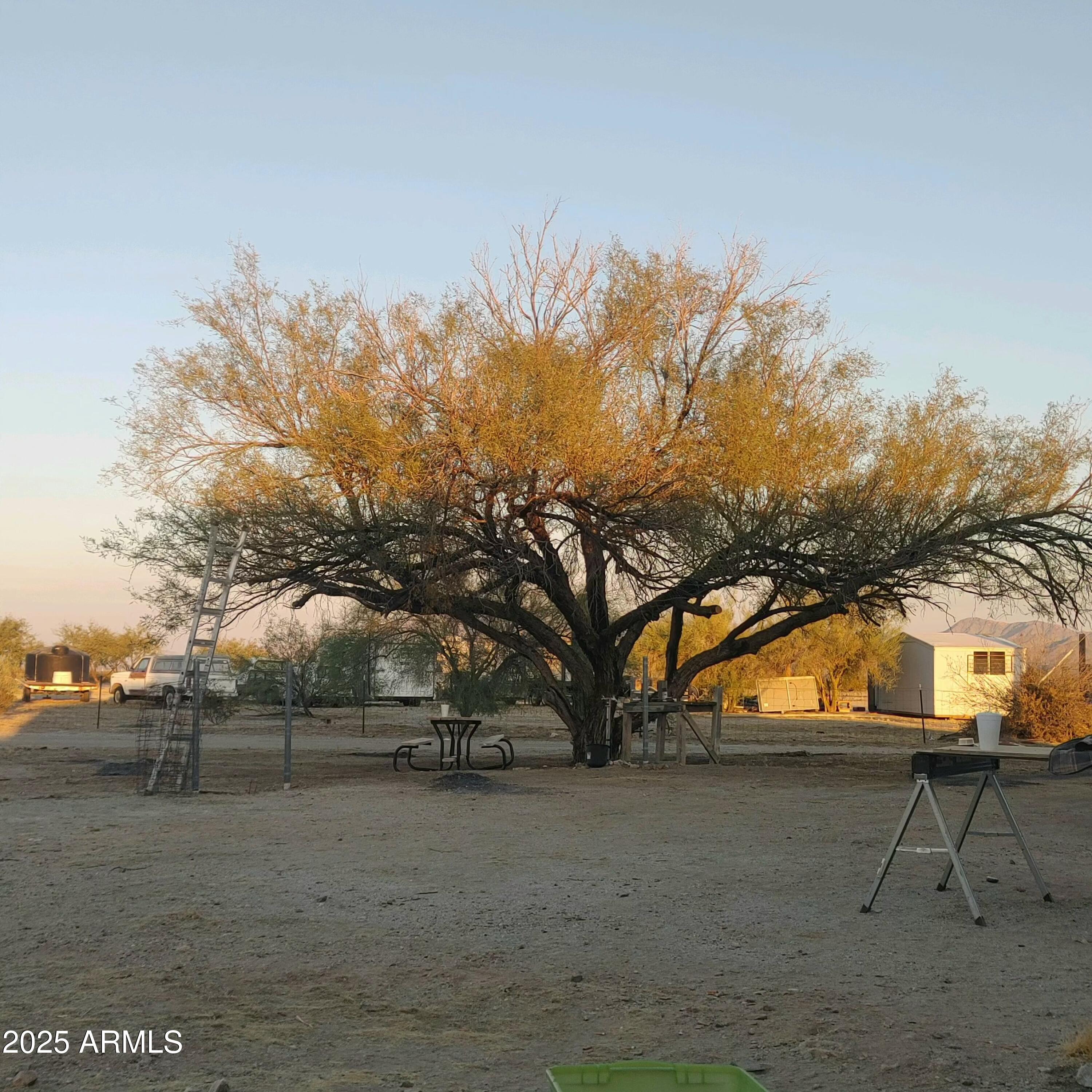 65623 Hall Street Salome, AZ 85348 - Photo 6 of 14 a view of outdoor space with city view