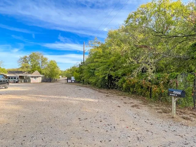 a view of a yard with a tree