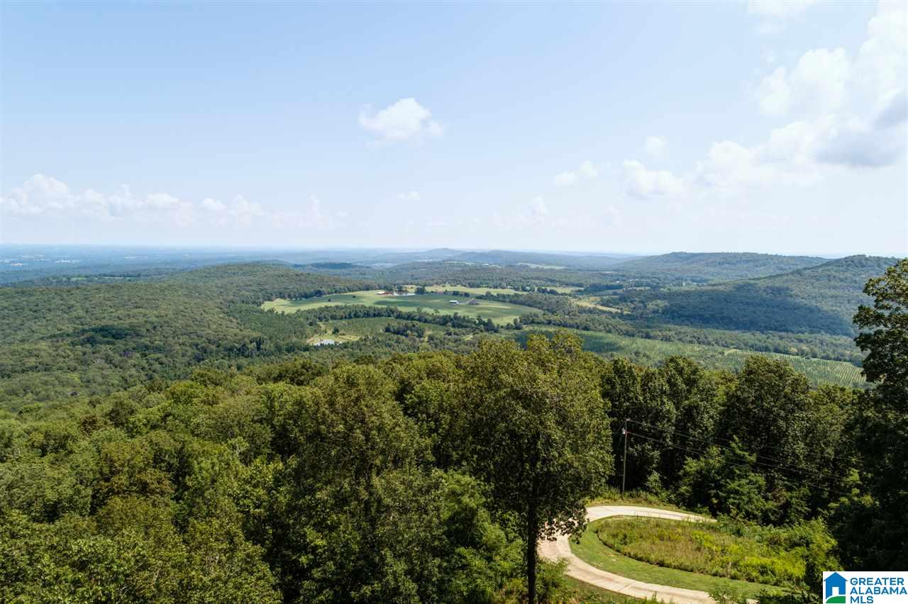 1458 Warnock Peak Road Hayden, AL 35079 - Photo 16 of 50