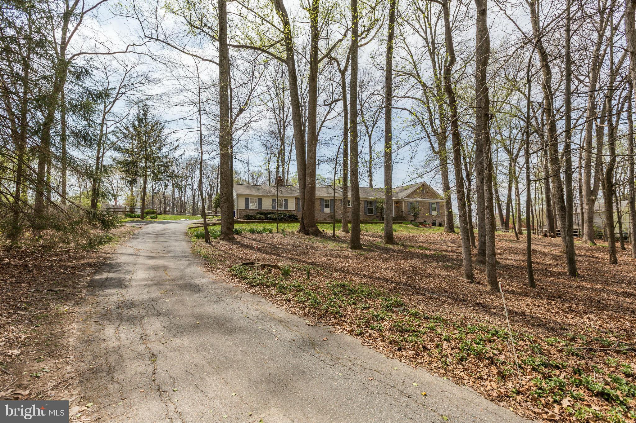 13116 Brandon Way Road Gaithersburg, MD 20878 - Photo 29 of 30 a view of road with trees