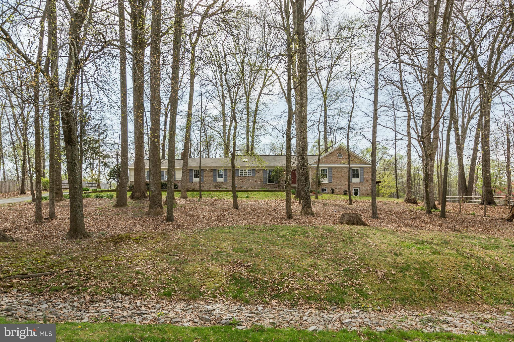 13116 Brandon Way Road Gaithersburg, MD 20878 - Photo 30 of 30 a view of outdoor space with trees