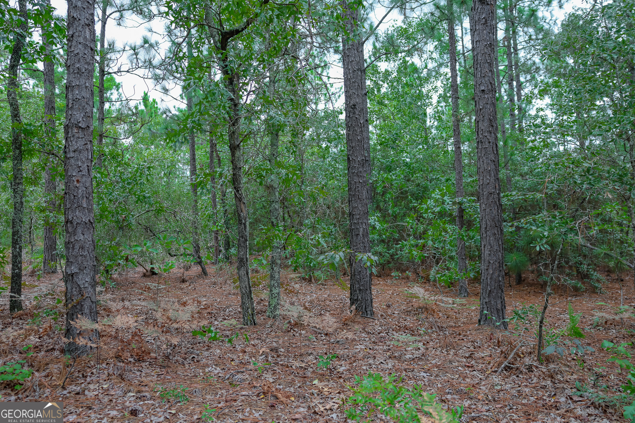 766 Parks Road Mauk, GA 31058 - Photo 19 of 23