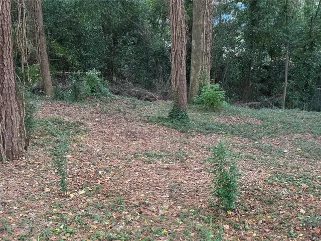a big yard with lots of green space and trees