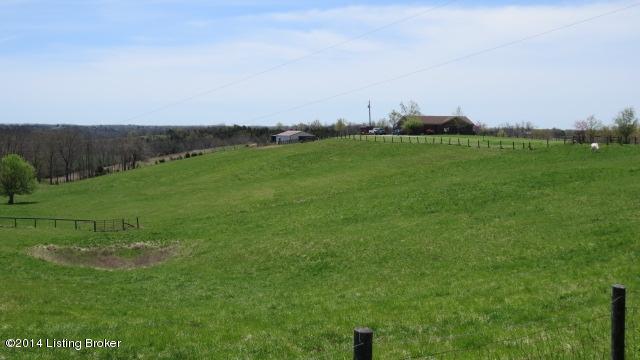 3050 Talmage-Mayo Road Salvisa, KY 40372 - Photo 4 of 45 IMG_1317