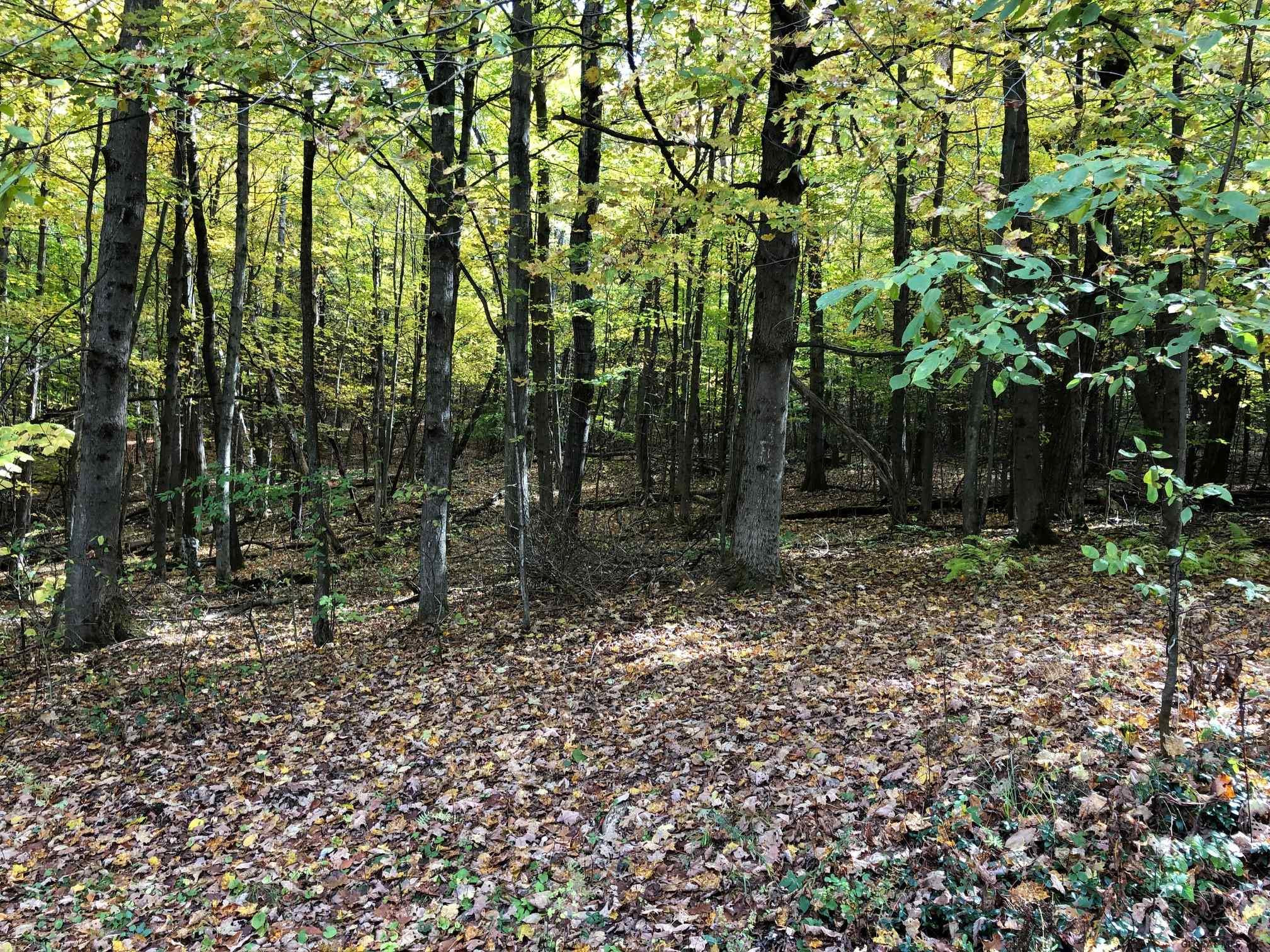 584 Dunbar Road Jackson, NY 12816 - Photo 3 of 20 Photo 3