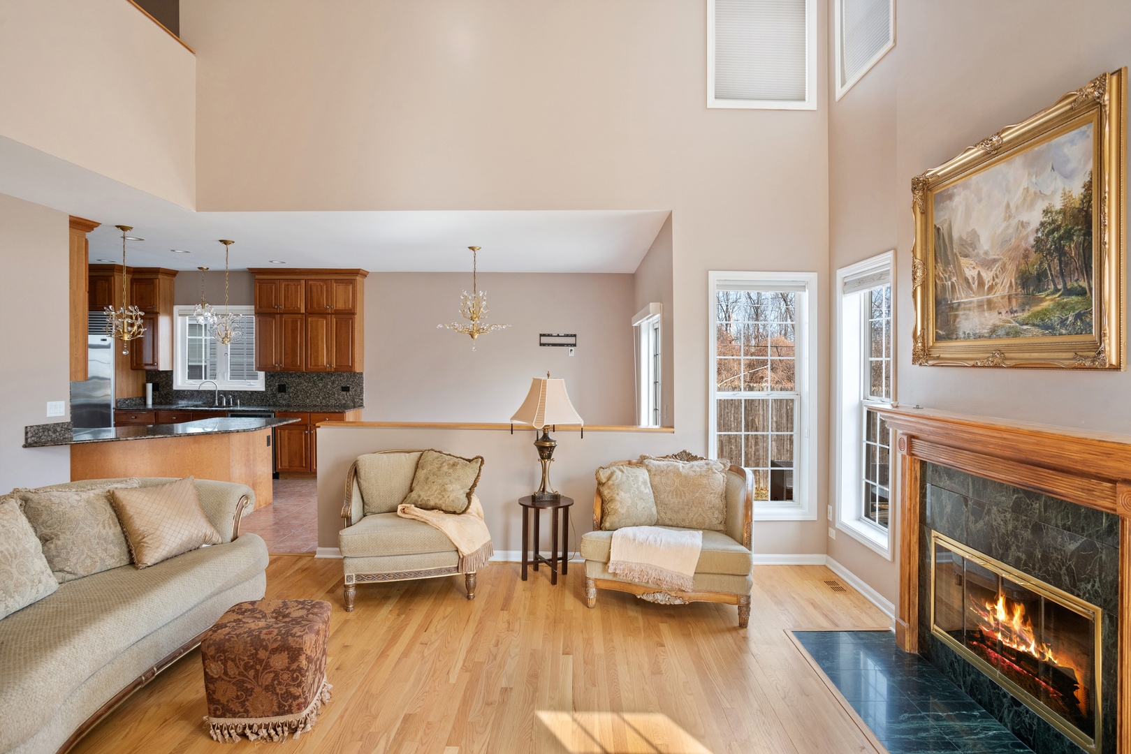 981 Ridge Road Highland Park, IL 60035 - Photo 3 of 15 a living room with furniture and a fireplace