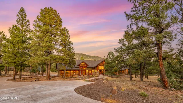 a view of a park with large trees