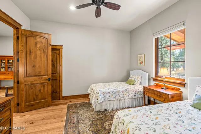 a view of a park with large trees