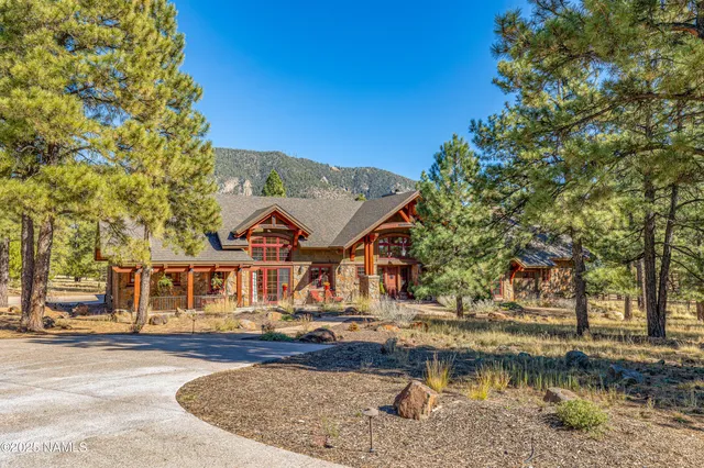 a living room with furniture a fireplace and a chandelier