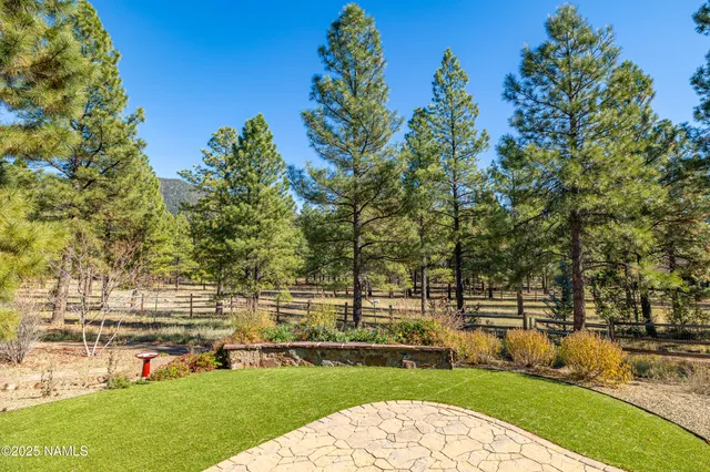 a view of a chairs and table in the patio