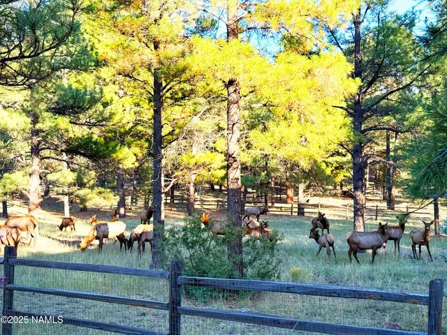 $2,649,999 | 550 East Hattie Greene, Flagstaff, AZ 86001