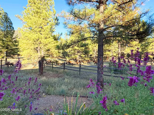 $2,649,999 | 550 East Hattie Greene, Flagstaff, AZ 86001