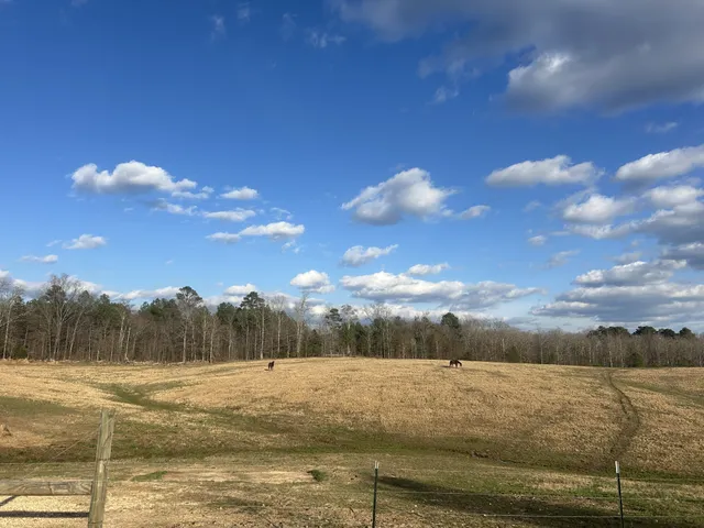 $330,000 | 5132 Sulphur Creek Road, Big Sandy, TN 38221