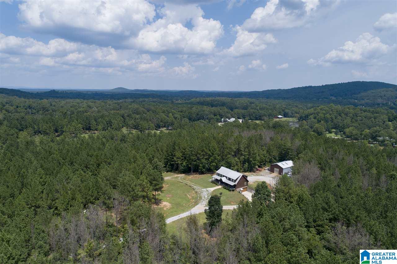 1024 Alston Farm Road Columbiana, AL 35051 - Photo 43 of 45