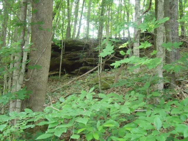 8 40 Star Point Road Celina, TN 38551 - Photo 11 of 25 Gallery Image 11