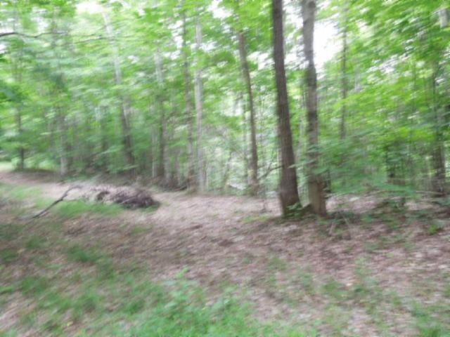 8 40 Star Point Road Celina, TN 38551 - Photo 16 of 25 Gallery Image 16