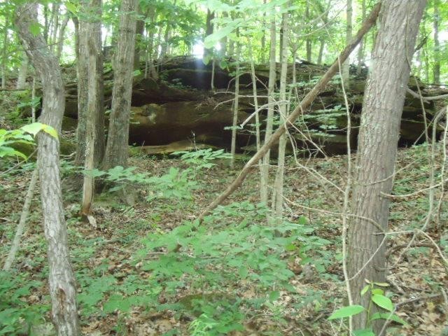 8 40 Star Point Road Celina, TN 38551 - Photo 17 of 25 Gallery Image 17