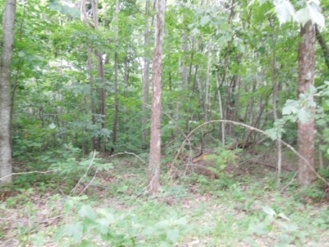 8 40 Star Point Road Celina, TN 38551 - Photo 19 of 25 Gallery Image 19