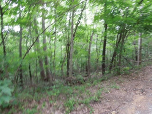 8 40 Star Point Road Celina, TN 38551 - Photo 20 of 25 Gallery Image 20