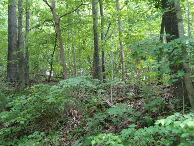 8 40 Star Point Road Celina, TN 38551 - Photo 5 of 25 Gallery Image 5