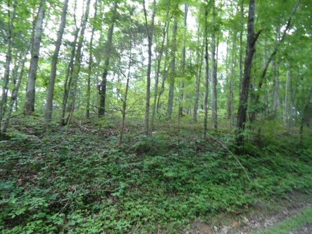 8 40 Star Point Road Celina, TN 38551 - Photo 7 of 25 Gallery Image 7