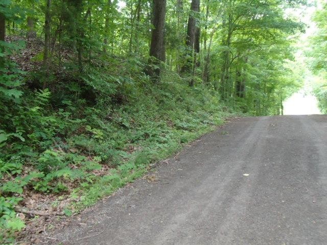 8 40 Star Point Road Celina, TN 38551 - Photo 9 of 25 Gallery Image 9