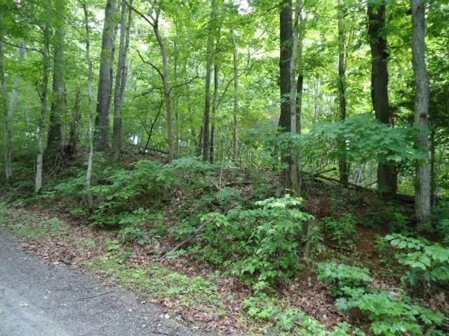8 40 Star Point Road Celina, TN 38551 - Photo 10 of 25 Gallery Image 10
