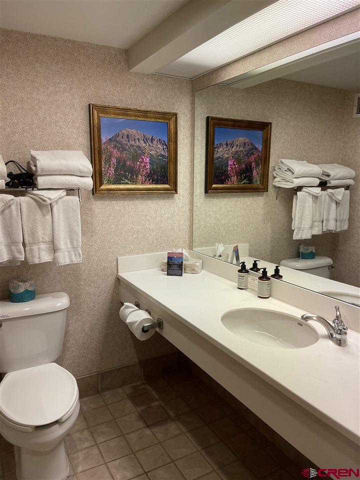 6 Emmons Road, Unit 269 Crested Butte, CO 81225 - Photo 7 of 18 a bathroom with a toilet a sink and mirror