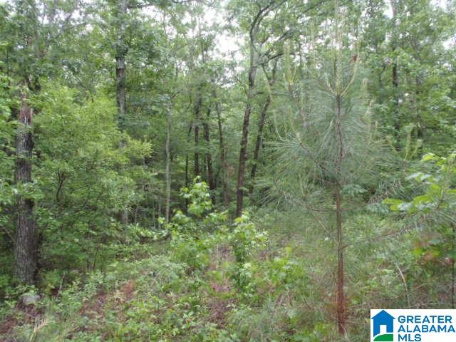 0 Shocco Springs Road, Unit 40 5 AC Talladega, AL 35160 - Photo 25 of 30