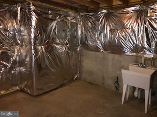 2609 Bear Den Road Frederick, MD 21701 - Photo 21 of 30 Basement