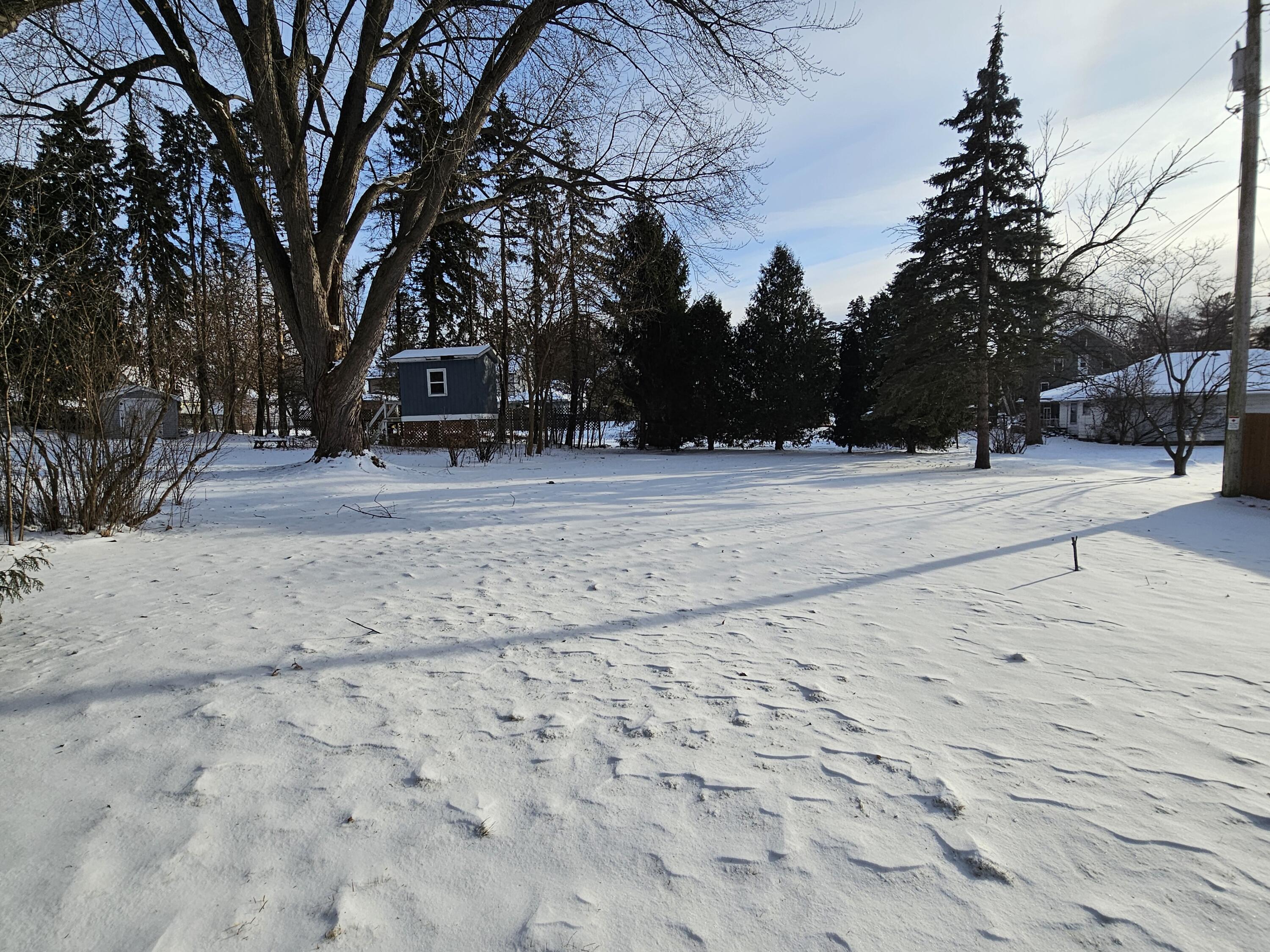 603 Norris Street Beaver Dam, WI 53916 - Photo 24 of 27 backyard