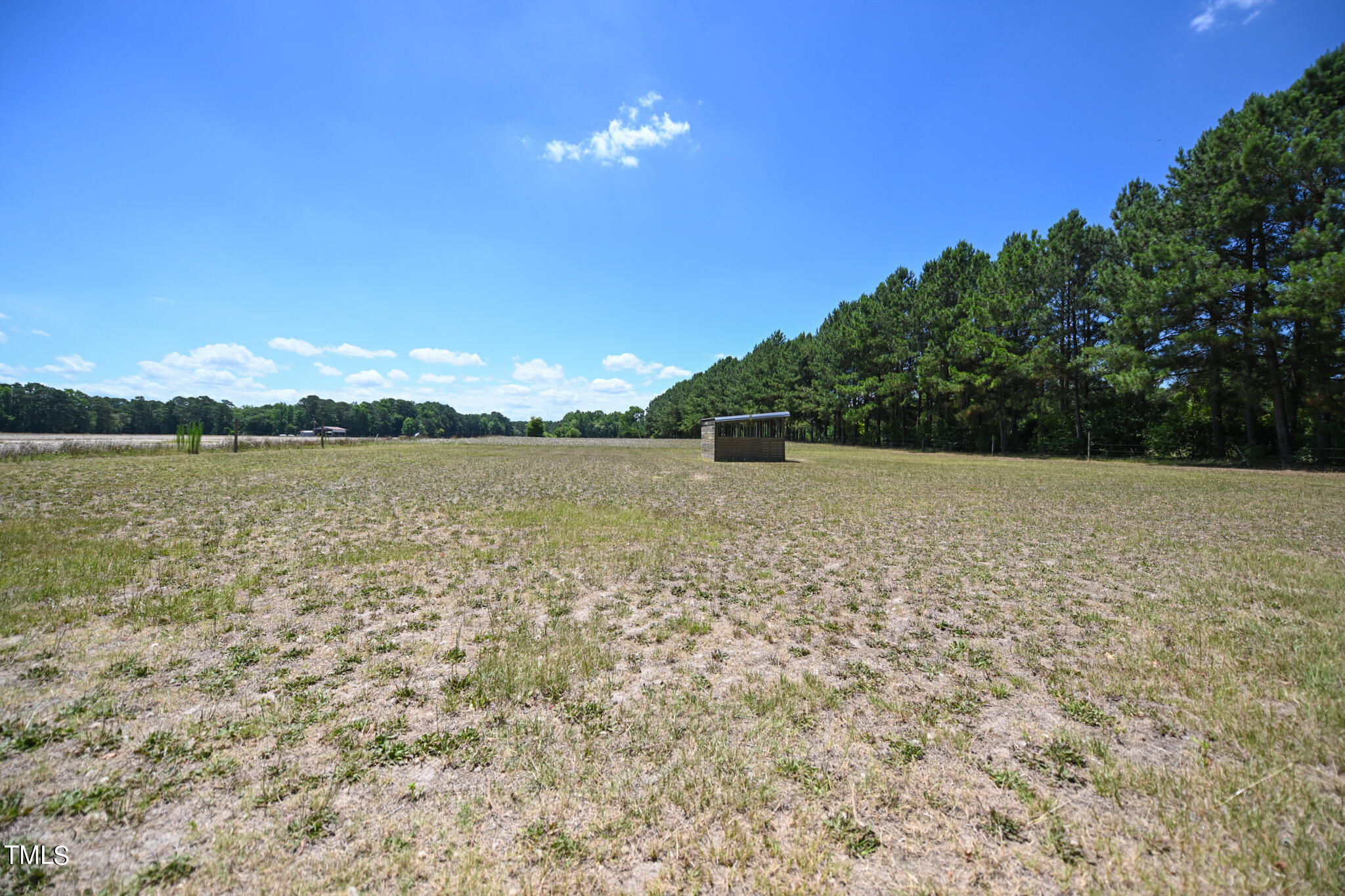 270 Edwards Store Road Mount Olive, NC 28365 - Photo 3 of 13 DSC_2258