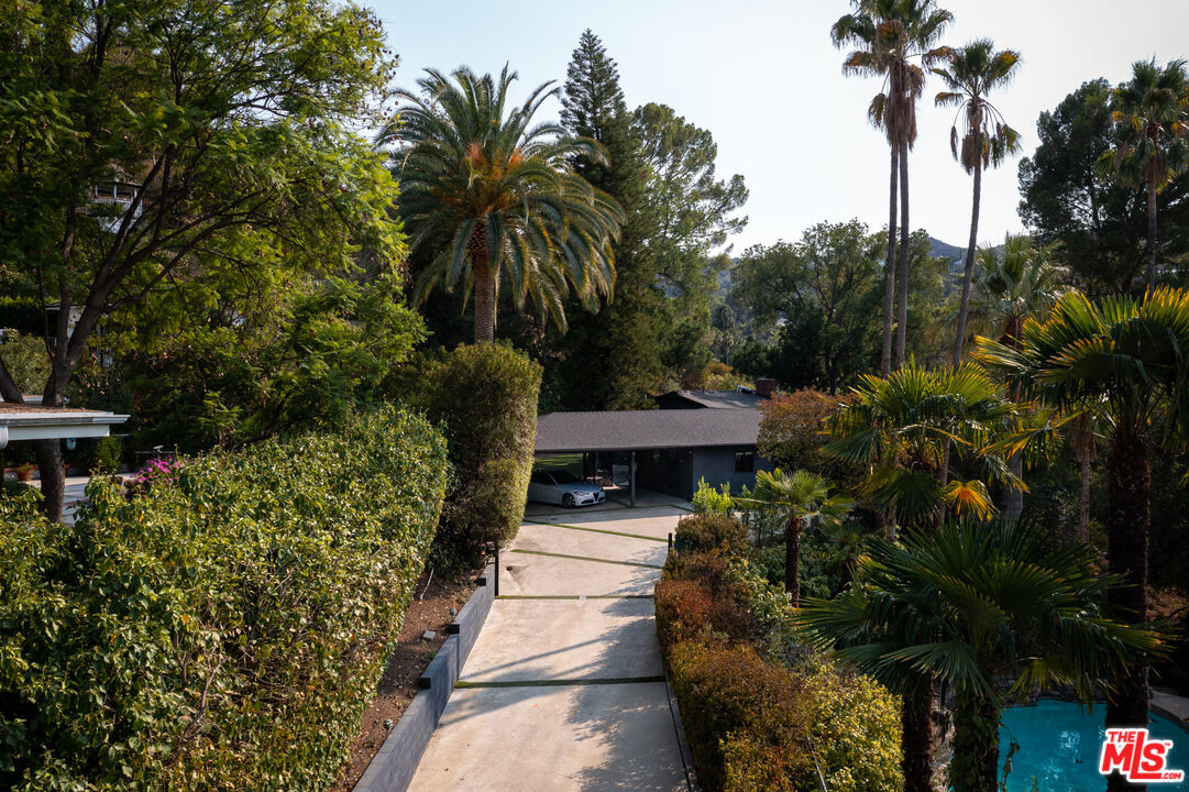 16666 Oldham Street Encino, CA 91436 - Photo 1 of 43 a view of a garden with plants