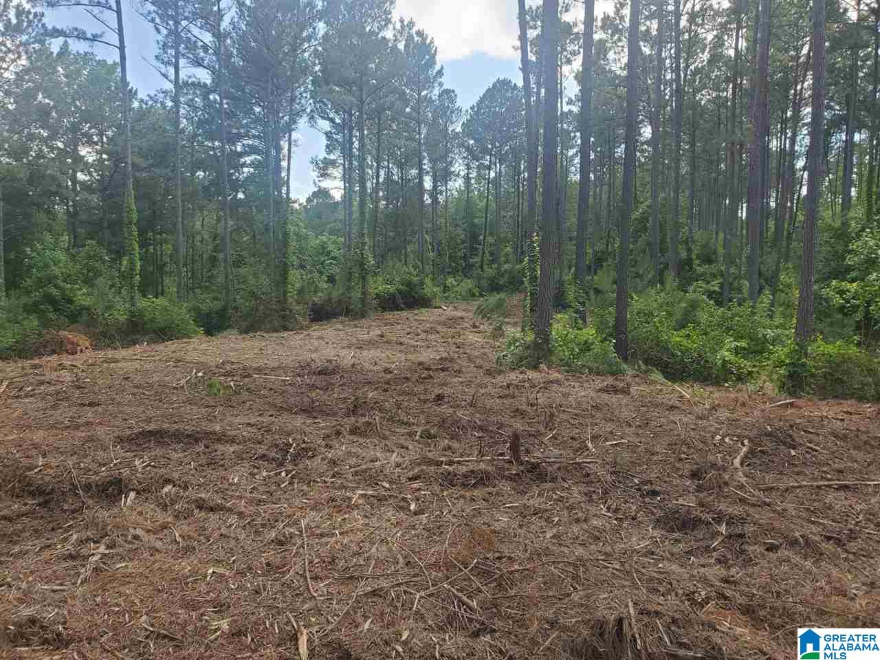 .2 Gould Road, Unit 3 Columbiana, AL 35051 - Photo 10 of 11
