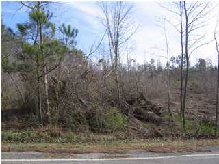 4338 Woodruff Mill Road, Unit 1 Adamsville, AL 35005 - Photo 3 of 5