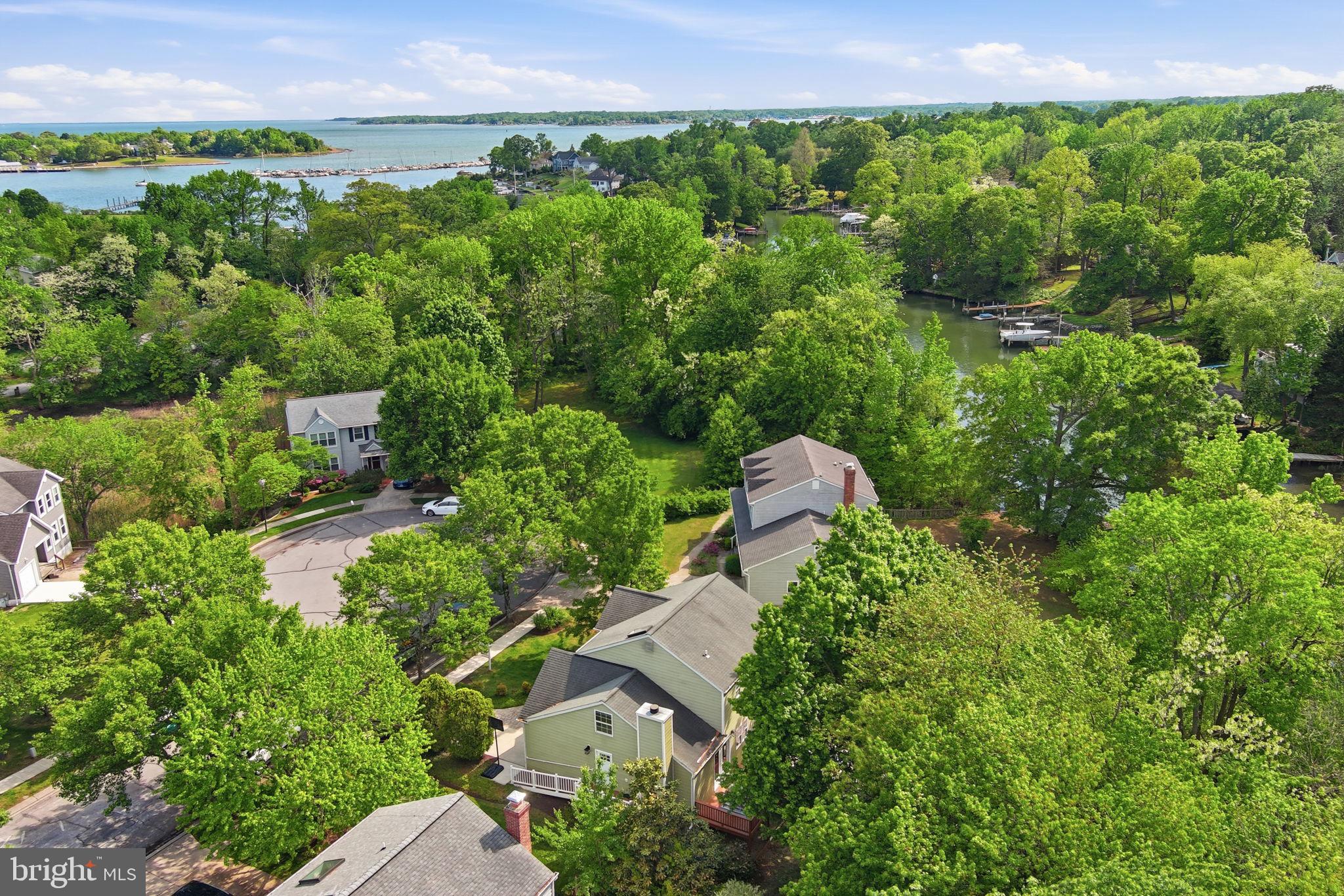 996 Headwater Road Annapolis, MD 21403 - Photo 44 of 59 Lush greenery surrounds serene waters.