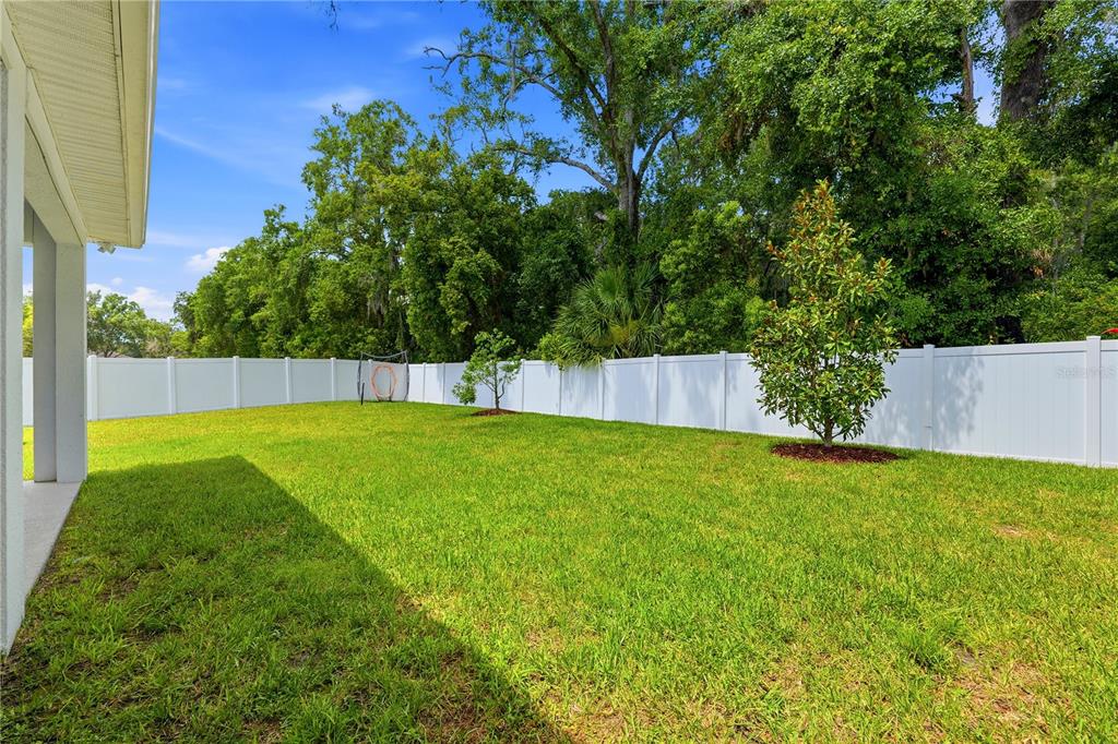 7530 Ashbrooke Pine Loop Odessa, FL 33556 - Photo 36 of 44