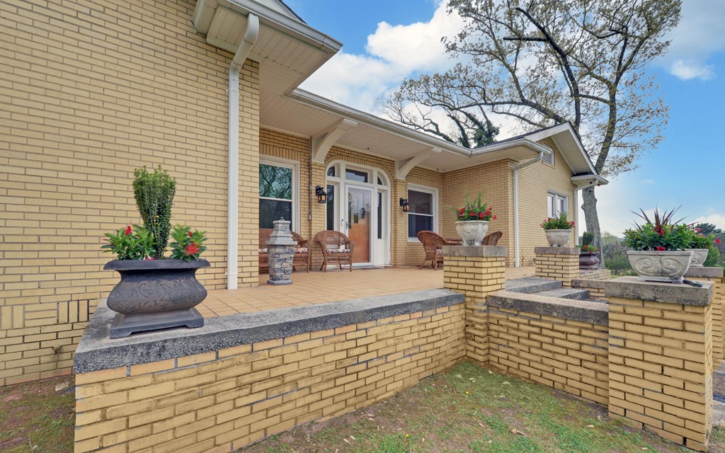 2465 Blue Ridge Drive Blue Ridge, GA 30513 - Photo 4 of 60 a view of a house with potted plants