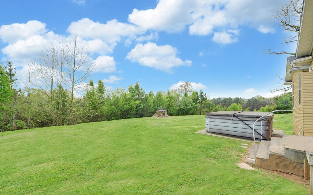 2465 Blue Ridge Drive Blue Ridge, GA 30513 - Photo 55 of 60 a view of a yard with a big yard