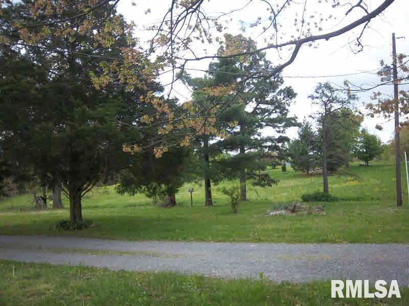 11972 Felts Road Carrier Mills, IL 62917 - Photo 2 of 7