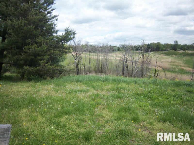 11972 Felts Road Carrier Mills, IL 62917 - Photo 6 of 7