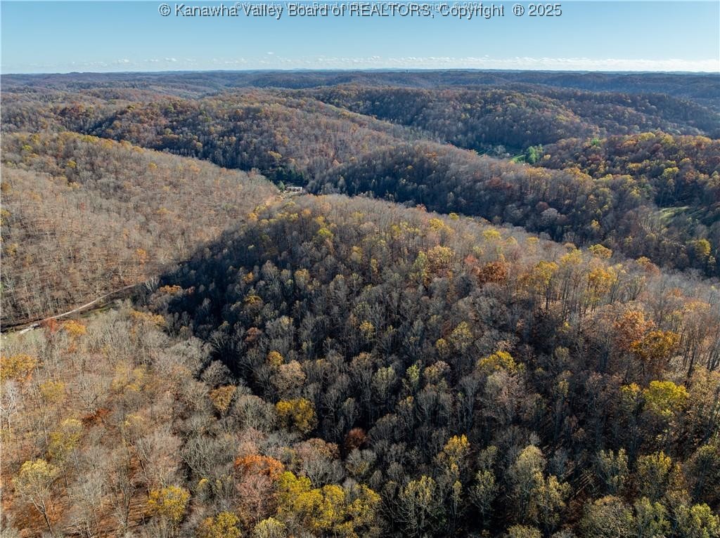 0 Utah Hollow Road Charleston, WV 25312 - Photo 12 of 17 Gallery Image 12